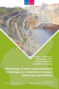    Metrology of socio-environmental challenges in Cameroon's natural resources exploitation  